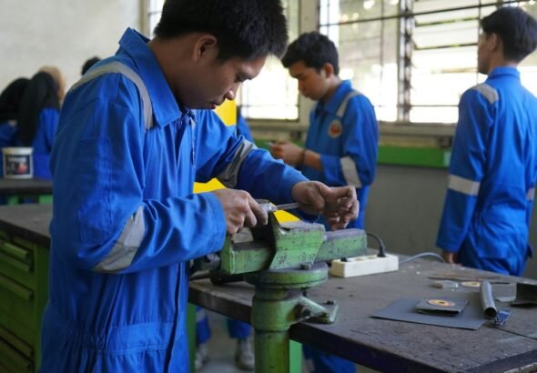 Illustrative vocational training; not a DDU-GKY 2.0 batch